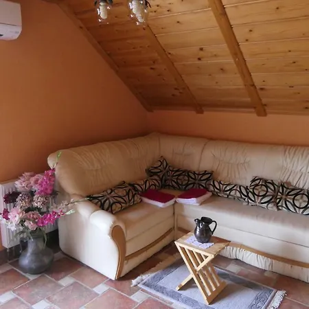 And Brunko 3* Блед